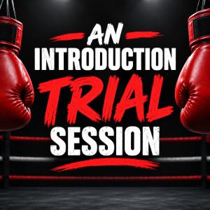 An Introduction to boxing